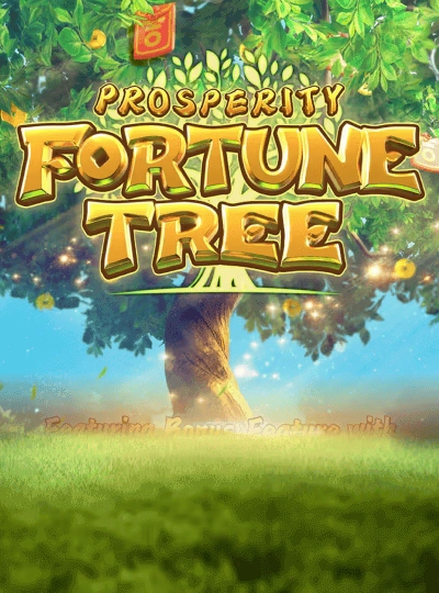 baji9 new game